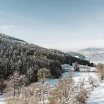 בקתה Naturchalet Am Afritzer